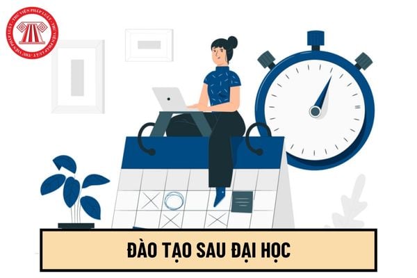 Viên chức phải kết thúc thời gian tập sự mới được cử đi đào tạo sau đại học đúng không?