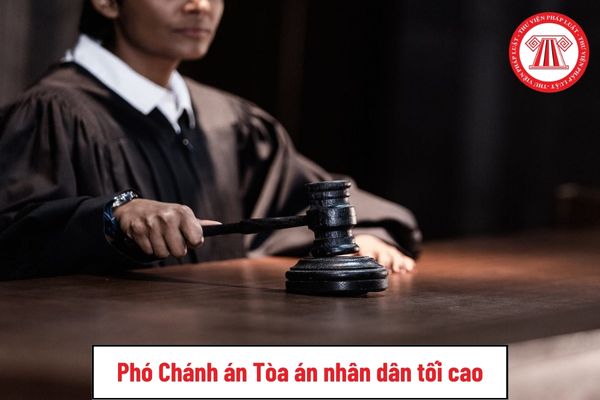 Phó Chánh án Tòa án nhân dân tối cao do ai bổ nhiệm?