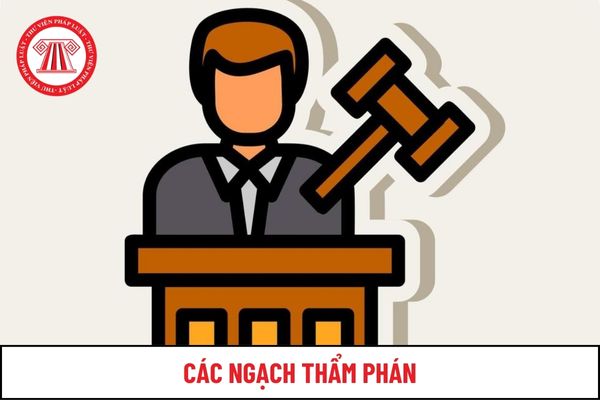 Các ngạch Thẩm phán hiện nay bao gồm những ngạch nào?