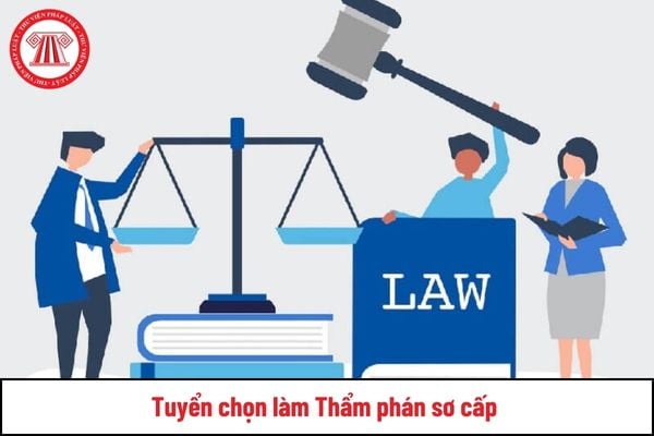 Sĩ quan quân đội tại ngũ được tuyển chọn làm Thẩm phán sơ cấp khi đáp ứng điều kiện gì?