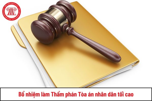 Chủ tịch Hội đồng tuyển chọn, giám sát Thẩm phán quốc gia là ai?