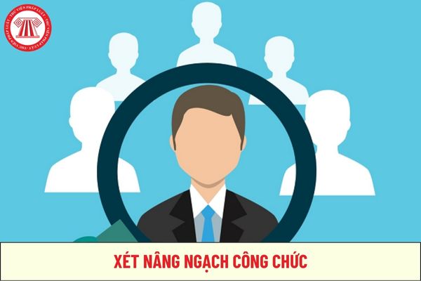 02 trường hợp xét nâng ngạch công chức là những trường hợp nào?