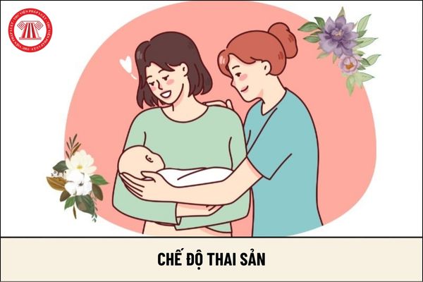 Từ 1/7/2025 lao động nữ sinh con phải nộp hồ sơ hưởng chế độ thai sản cho cơ quan BHXH trong trường hợp nào?