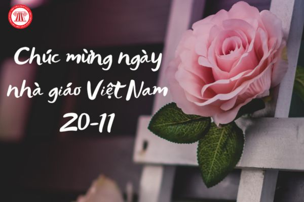 Hiến chương nhà giáo là gì? Ngày Hiến chương nhà giáo được tổ chức ngày mấy?