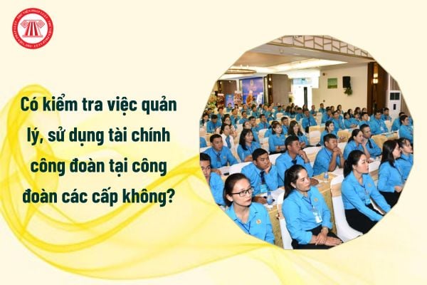 Có kiểm tra việc quản lý, sử dụng tài chính công đoàn tại công đoàn các cấp không?