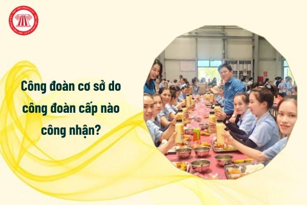 Công đoàn cơ sở do công đoàn cấp nào công nhận?