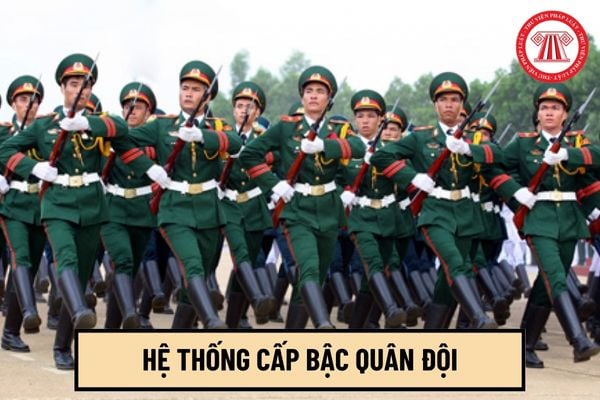 Toàn bộ hệ thống cấp bậc quân đội đối với quân hàm sĩ quan bao gồm mấy cấp? 