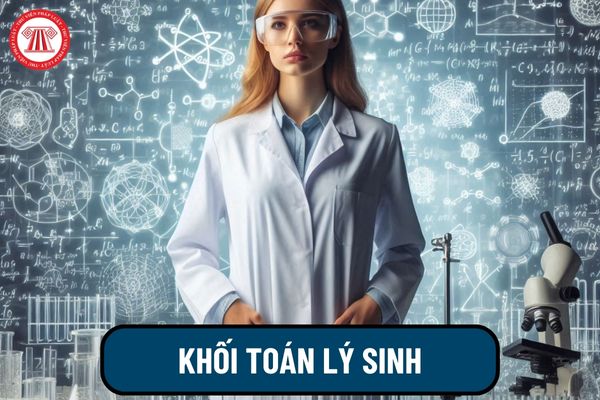 Toán Lý Sinh là khối gì? Định hướng ngành học cho người học khối Toán Lý Sinh ra sao?