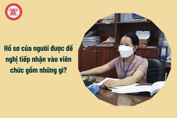 Hồ sơ của người được đề nghị tiếp nhận vào viên chức gồm những gì?