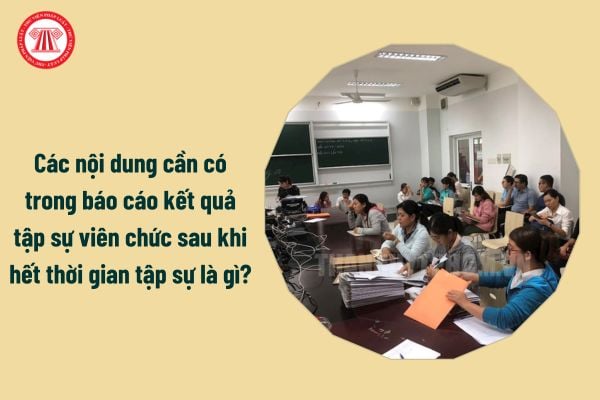 Các nội dung cần có trong báo cáo kết quả tập sự viên chức sau khi hết thời gian tập sự là gì?