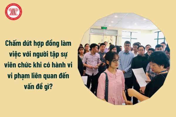 Chấm dứt hợp đồng làm việc với người tập sự viên chức khi có hành vi vi phạm liên quan đến vấn đề gì?