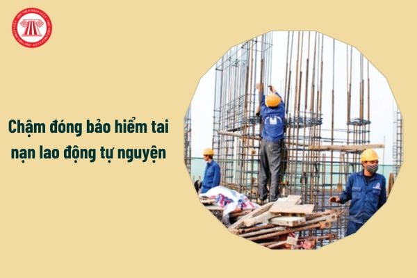 Chậm đóng bảo hiểm tai nạn lao động tự nguyện có thuộc trường hợp tạm dừng đóng không?