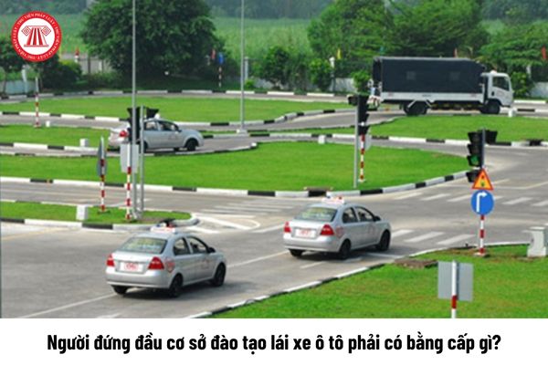 Người đứng đầu cơ sở đào tạo lái xe ô tô phải có bằng cấp gì?