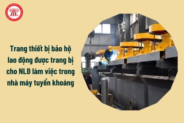 Các trang thiết bị bảo hộ lao động được trang bị cho người lao động làm việc trong nhà máy tuyển khoáng gồm những gì?