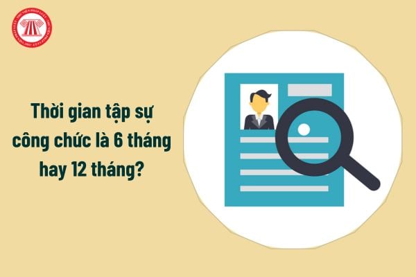 Thời gian tập sự công chức là 6 tháng hay 12 tháng?