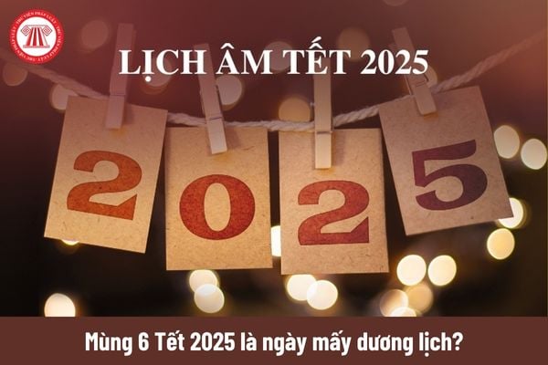 Mùng 6 Tết 2025 là ngày mấy dương lịch? Mùng 6 Tết 2025 cán bộ công chức đã đi làm lại chưa?