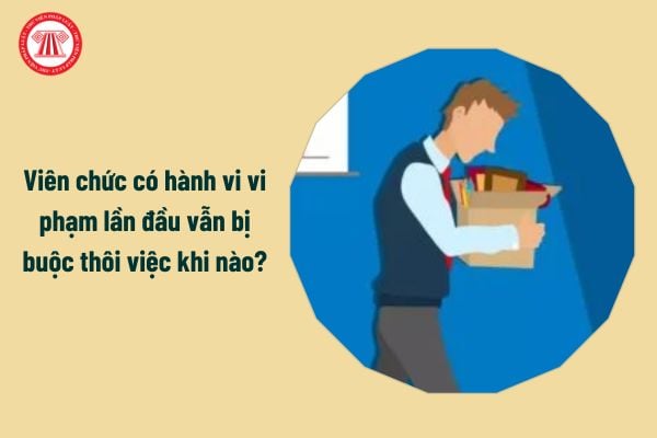 Khi nào thì viên chức có hành vi vi phạm lần đầu vẫn bị buộc thôi việc? Trình tự ra quyết định kỷ luật viên chức như thế nào?