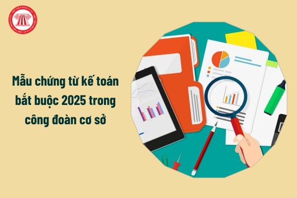 Tổng hợp Mẫu chứng từ kế toán bắt buộc 2025 trong công đoàn cơ sở