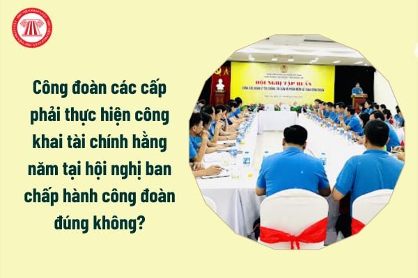 Công đoàn các cấp phải thực hiện công khai tài chính hằng năm tại hội nghị ban chấp hành công đoàn đúng không?