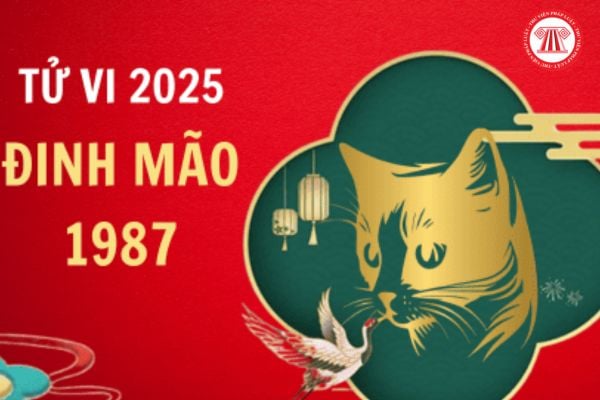 Tử vi tuổi Mão 1987 năm 2025 nam mạng