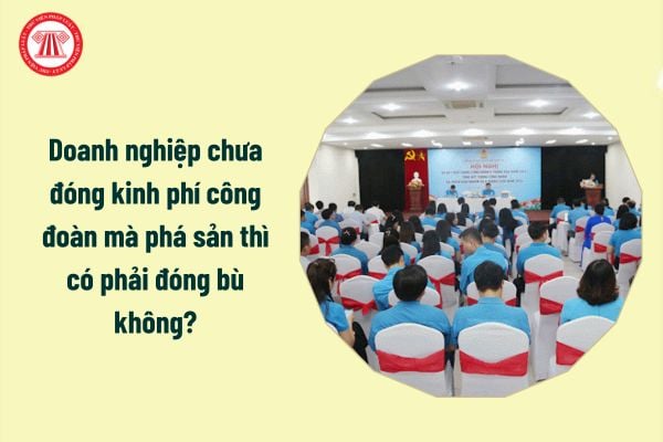 Doanh nghiệp chưa đóng kinh phí công đoàn mà phá sản thì có phải đóng bù không?