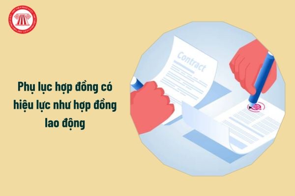 Phụ lục hợp đồng có hiệu lực như hợp đồng lao động đúng không?