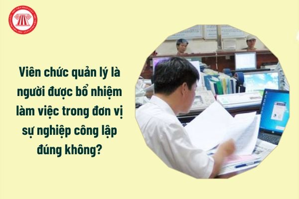 Viên chức quản lý là người được bổ nhiệm làm việc trong đơn vị sự nghiệp công lập đúng không?