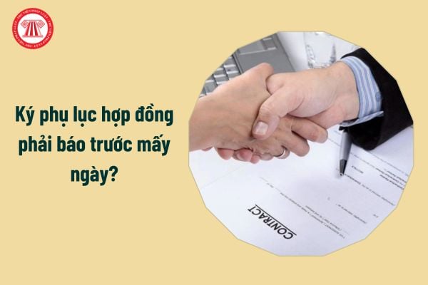 Ký phụ lục hợp đồng phải báo trước mấy ngày?