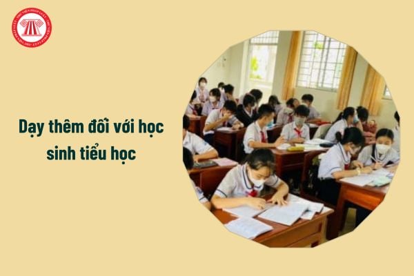 Thông tư 29 cấm dạy thêm đối với học sinh tiểu học