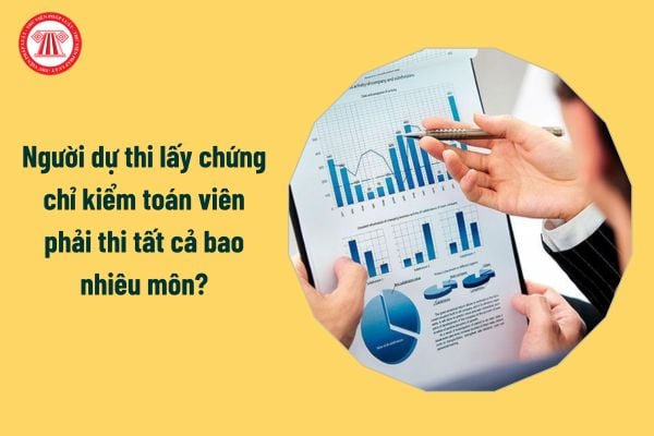 Người dự thi lấy chứng chỉ kiểm toán viên phải thi tất cả bao nhiêu môn?