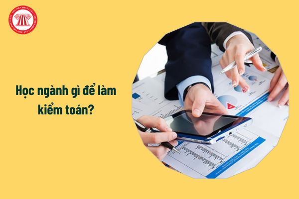 Học ngành gì để làm kiểm toán? Chứng chỉ hành nghề kiểm toán viên do ai cấp?