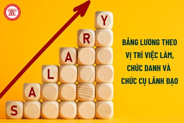 Chốt bảng lương cho 09 đối tượng theo vị trí việc làm chức danh và chức vụ lãnh đạo thay thế 