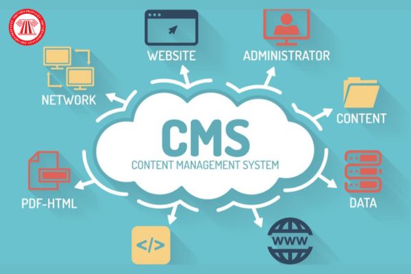 CMS là gì trong Marketing? Marketing thương mại trình độ cao đẳng là ngành, nghề gì?