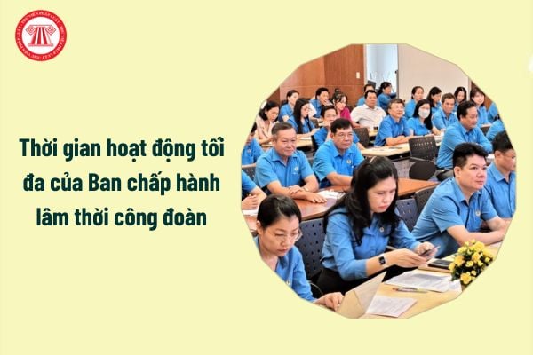 Thời gian hoạt động tối đa của Ban chấp hành lâm thời công đoàn là bao nhiêu tháng?