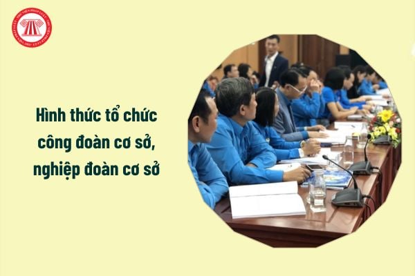 Hình thức tổ chức công đoàn cơ sở, nghiệp đoàn cơ sở là gì?