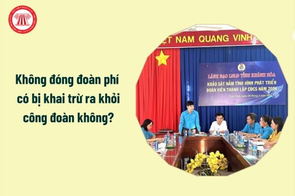 Không đóng đoàn phí có bị khai trừ ra khỏi công đoàn không?