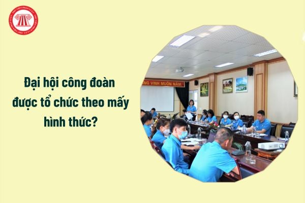 Đại hội công đoàn được tổ chức theo mấy hình thức?