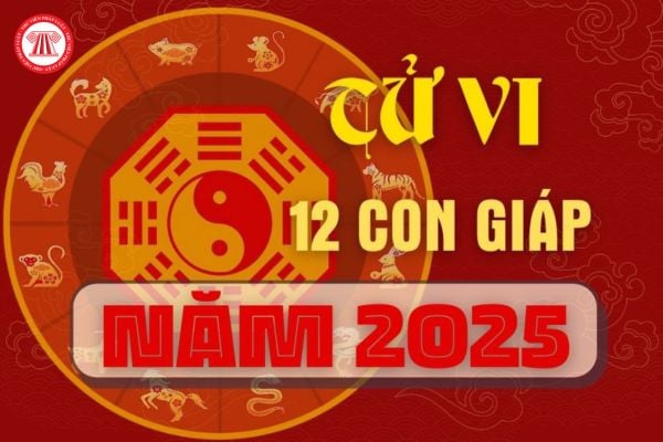 Tử vi tài lộc của 12 con giáp? Sao Tử Vi trong tư vi số mệnh có đặc điểm, ý nghĩa thế nào? Sao Tử Vi làm nghề gì là phù hợp?