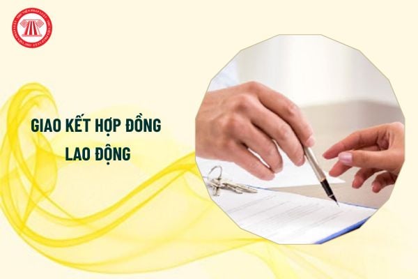 Có thể lựa chọn giao kết hợp đồng lao động bằng văn bản hoặc bằng lời nói đúng không?