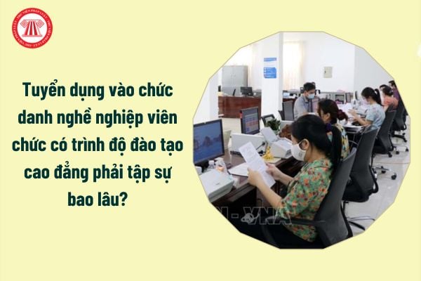 Tuyển dụng vào chức danh nghề nghiệp viên chức có trình độ đào tạo cao đẳng phải tập sự bao lâu?