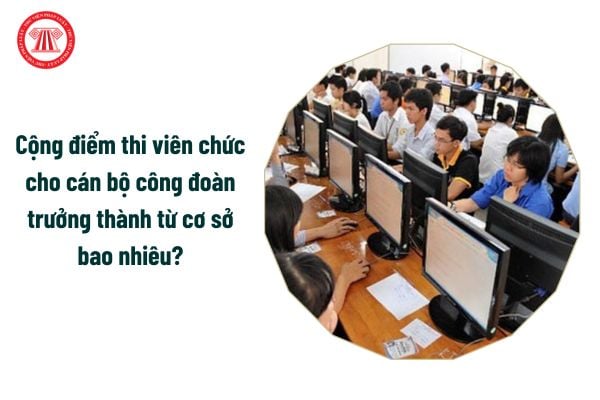 Cộng điểm thi viên chức cho cán bộ công đoàn trưởng thành từ cơ sở bao nhiêu?