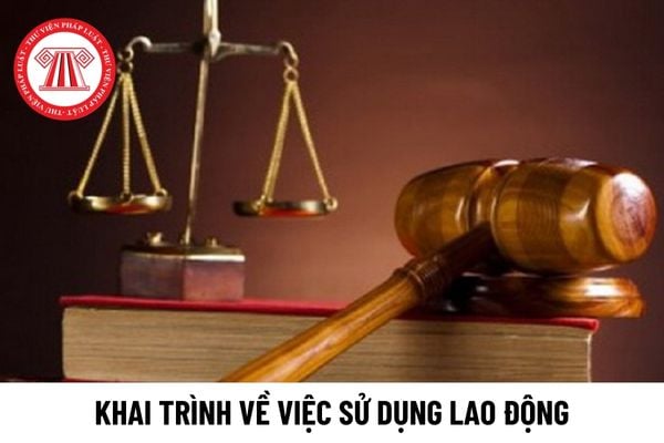 Người sử dụng lao động có phải khai trình việc sử dụng lao động với cơ quan chuyên môn về lao động hay không?