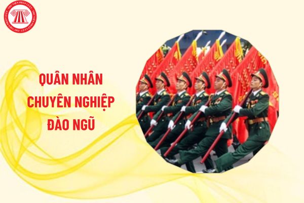 Quân nhân chuyên nghiệp tự ý rời khỏi đơn vị bao lâu thì đươc xem là đào ngũ?