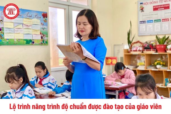 Lộ trình nâng trình độ chuẩn được đào tạo của giáo viên