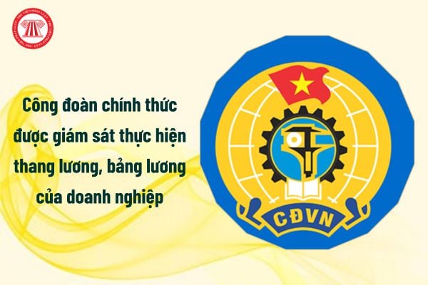 Từ 1/7/2025 công đoàn chính thức được giám sát thực hiện thang lương, bảng lương của doanh nghiệp, cụ thể ra sao?