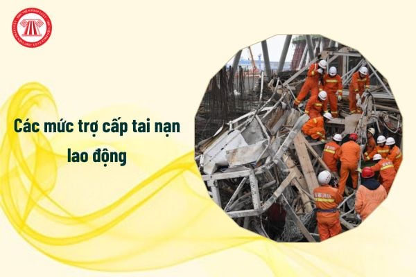 Các mức trợ cấp tai nạn lao động cho người tham gia bảo hiểm tai nạn lao động tự nguyện, cụ thể ra sao?