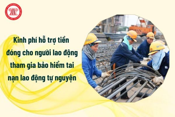 Kinh phí hỗ trợ tiền đóng cho người lao động tham gia bảo hiểm tai nạn lao động tự nguyện