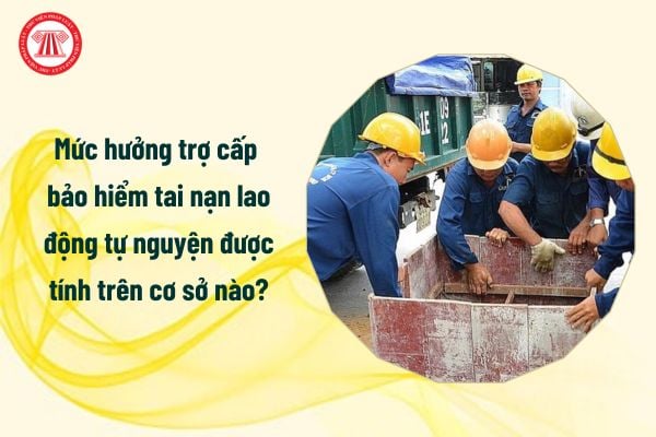 Mức hưởng trợ cấp bảo hiểm tai nạn lao động tự nguyện được tính trên cơ sở nào?