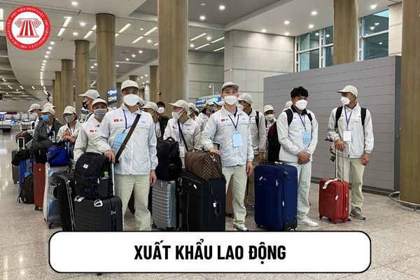 Xuất khẩu lao động hạn E7 là gì? 