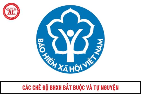 Toàn bộ các chế độ bảo hiểm xã hội bắt buộc và tự nguyện theo Luật Bảo hiểm xã hội 2024 như thế nào?